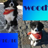 Foto van silke & woody