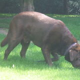 Foto van Romy en Joep