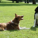 Foto van BC & CC
