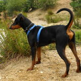 Justy 10 maand