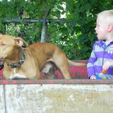 damian met soldier