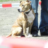 Foto van priscilla & C.S.C
