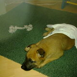 19-11-2010 ik was net op min nieuwe adres binnen gekomen alles was…