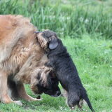Foto van team Shadow
