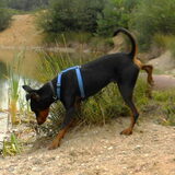 Foto van Marleen , Blacky & Justy