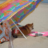 mevrouw op t strand