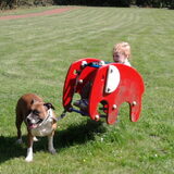 samen spelen