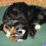 Foto van Annette & Misty