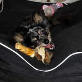 Zooo lief !