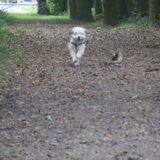 Foto van Romy en Joep