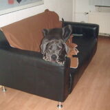 Lekker chillen