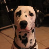 Headshot :)