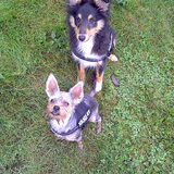 Foto van *~-Sammy-Ft -Jady- Ft -Bailey-~*