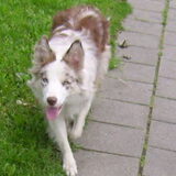 Djuna 11 maand