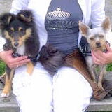 Foto van *~-Sammy-Ft -Jady- Ft -Bailey-~*