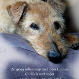 één van de laatste foto's