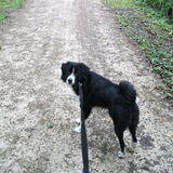 woody'tje tijdens de wandeling