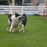 PLAYTIME!!!