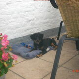 Sammie en het restaurant...