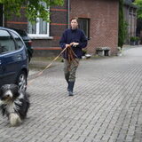 Promise aan het werk