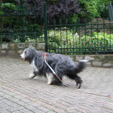 Op het goede spoor