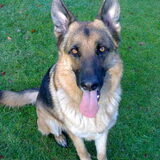 Foto van Karin