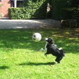 Foto van silke & woody