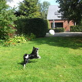 Foto van silke & woody