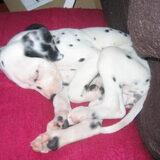 Als een baby
