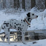 Winter 2010/2011