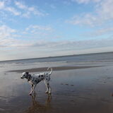 Weerspiegeling in het zand