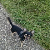 Foto van Sanne