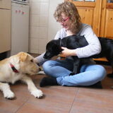 fibi(7e opvanghond) en drum onze eigen hond