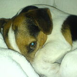 maxiee