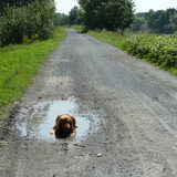 Grrrrrrrrrrr net gewassen en daar gaan we weer! We beginnen te denken…