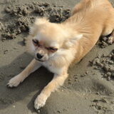 & maar aant genieten :D