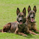 Foto van Hetty & Skipper