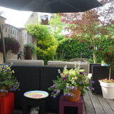 tuin