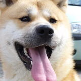 Mijn mooie lieve yuban