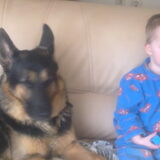 samen met dargo op de bank