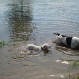 Foto van Jeroen & Lola