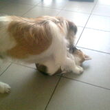 Spelen met papa
