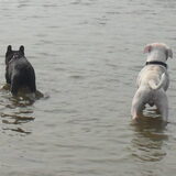 Foto van Sasch&de 2 idioten ^.^