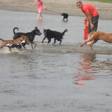 @Lauwersoog, aan het hondenstrand. Een ware hondenparadijs! Wat hebben…
