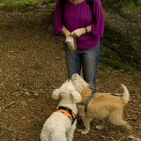 wandeling hoevelaken
