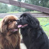 Yuna en Fedor, eerste kennismaking!