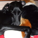 lieve vriendjes