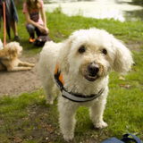 Foto van anais ~ filou&kajou