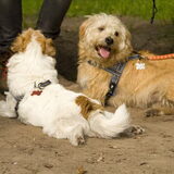 Foto van anais ~ filou&kajou