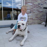 mijn zoontje van 3j met onze rocco